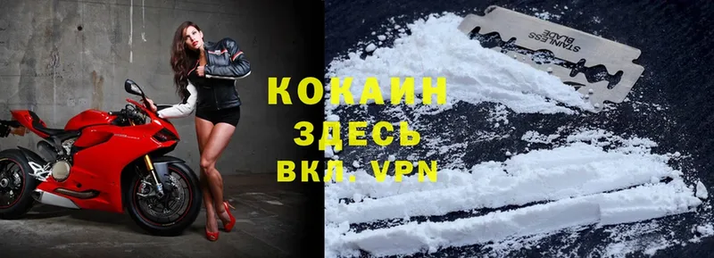 Cocaine Перу  это какой сайт  Рыбное 